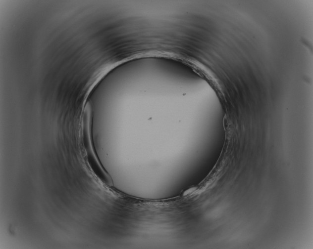 X0000091560860200709071125