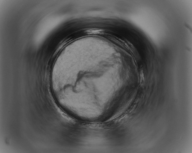 X0000091560861200709071125