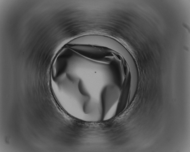 X0000091560862200709071125