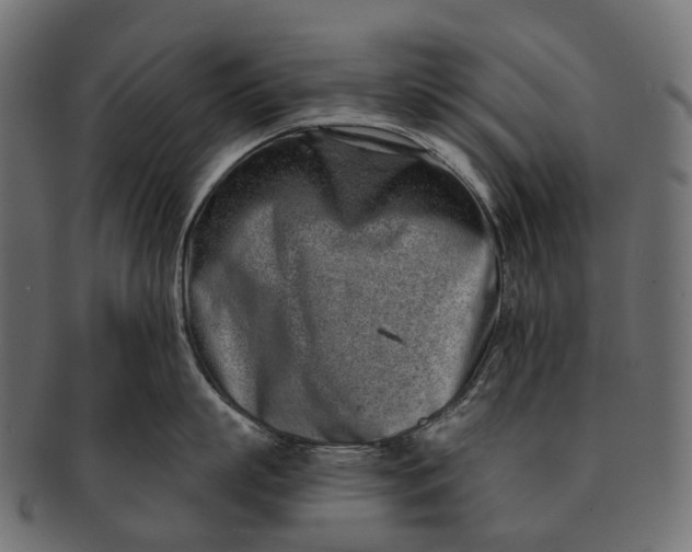 X0000091560863200709071125