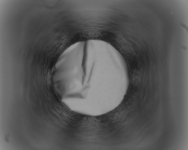 X0000091560866200709071125