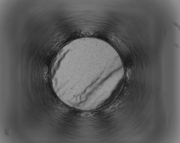 X0000091560867200709071125