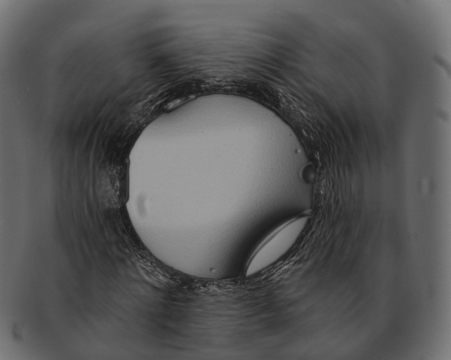 X0000091560868200709071125