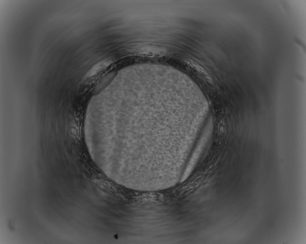 X0000091560869200709071125