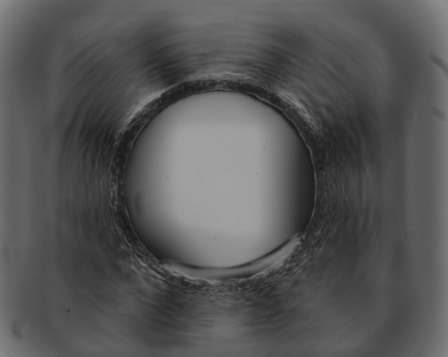 X0000091560872200709071125