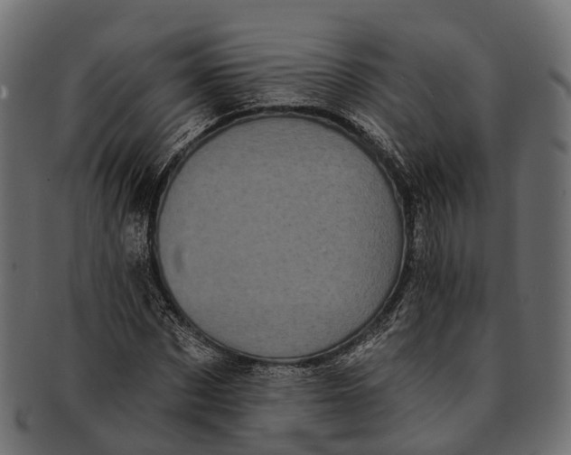 X0000091560873200709071124