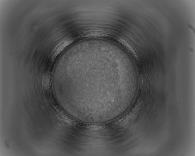 X0000091560874200709071124