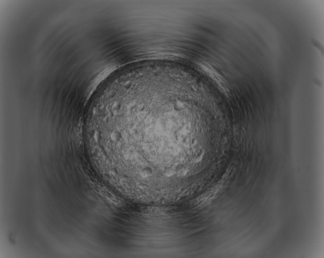 X0000091560875200709071124