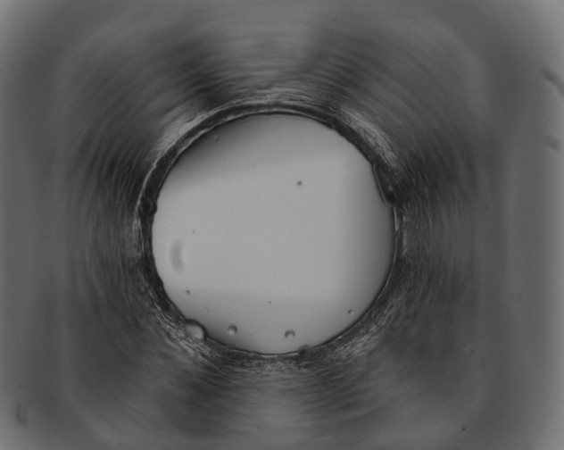 X0000091560876200709071124