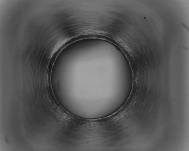 X0000091560877200709071124