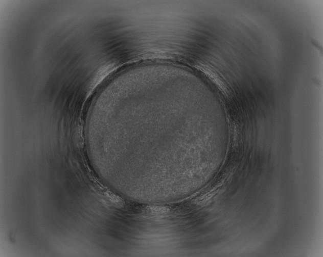 X0000091560878200709071124