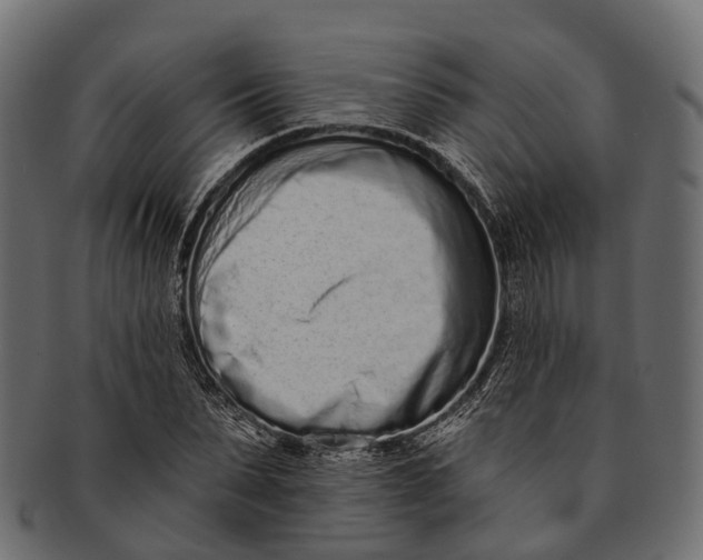 X0000091560879200709071124