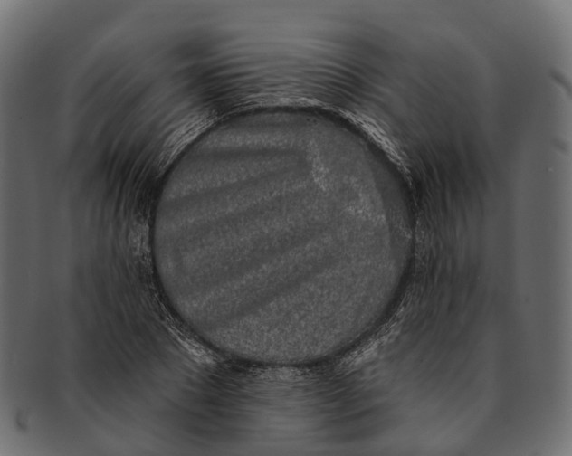 X0000091560881200709071124