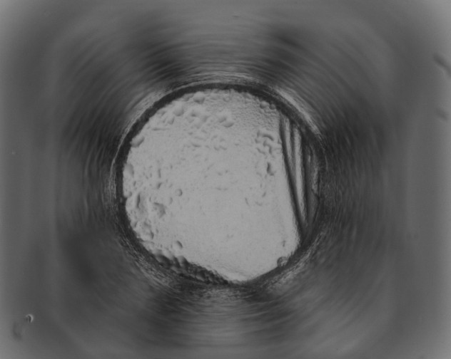 X0000091560883200709071124