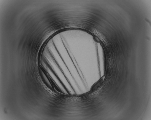 X0000091560884200709071124