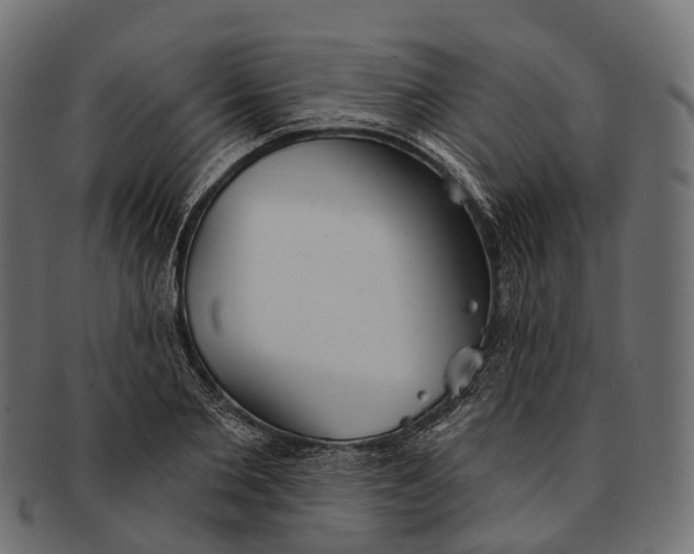 X0000091560885200709071124