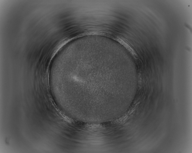 X0000091560886200709071124