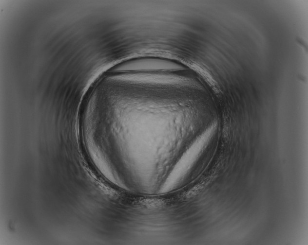 X0000091560888200709071124