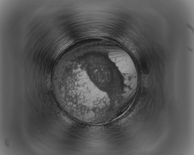 X0000091560889200709071124