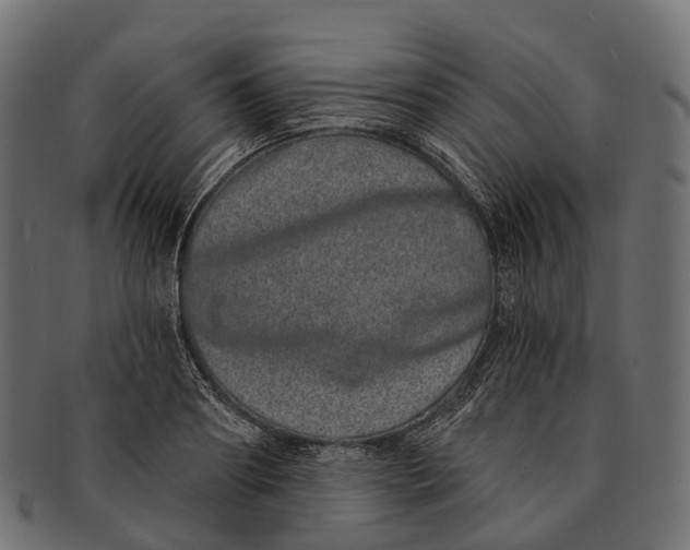 X0000091560890200709071124