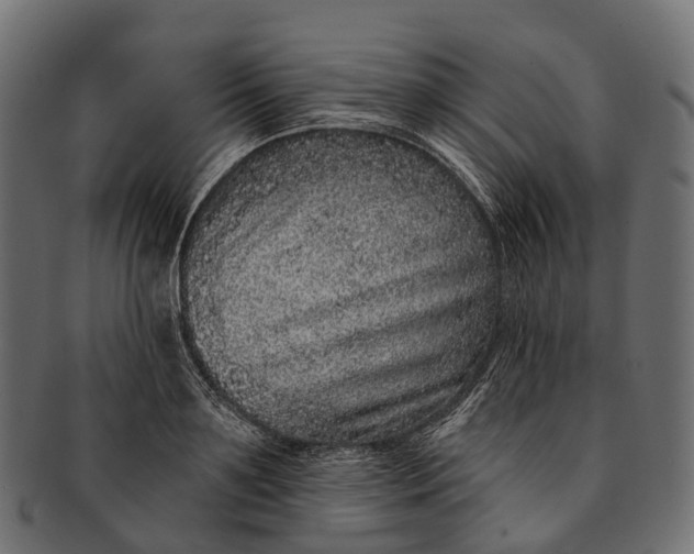 X0000091560891200709071124