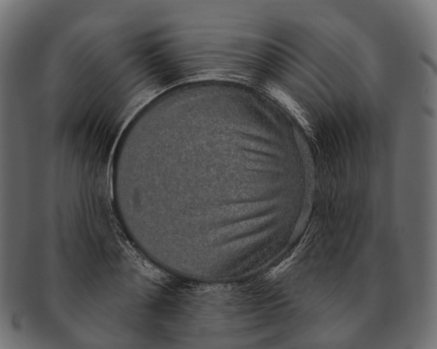 X0000091560892200709071124