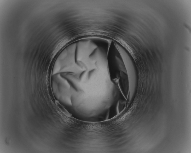 X0000091560893200709071124