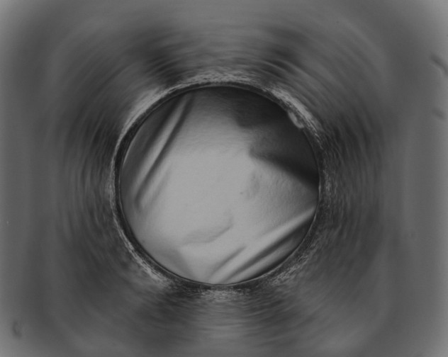 X0000091560894200709071124