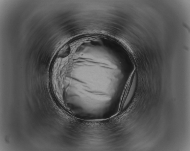 X0000091560895200709071124