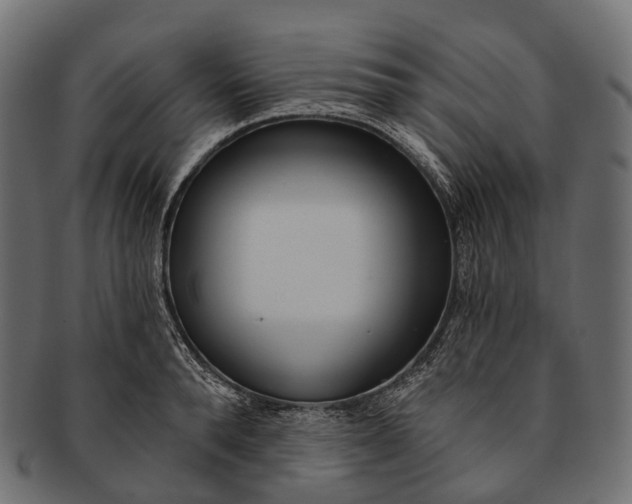 X0000091560896200709071124