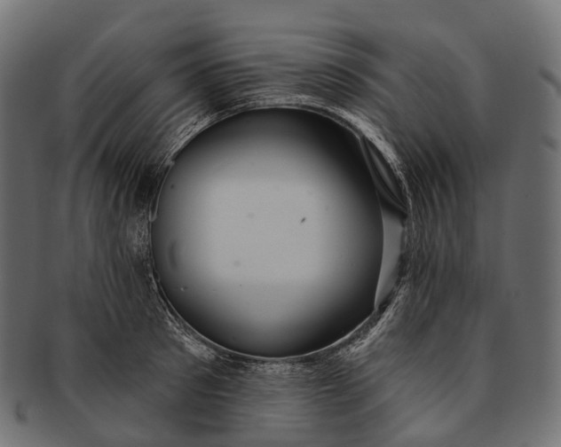 X0000091560897200709071124