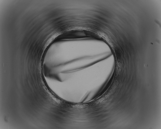 X0000091560898200709071124