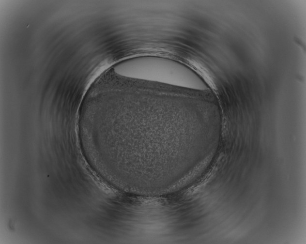 X0000091560899200709071124