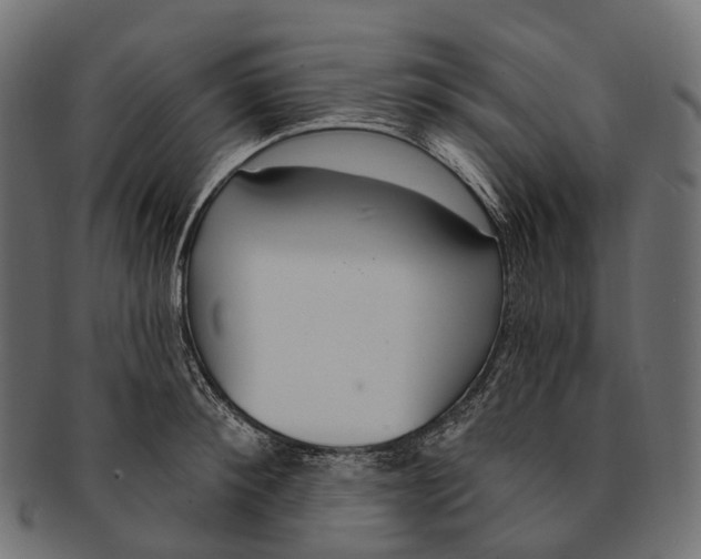 X0000091560900200709071124