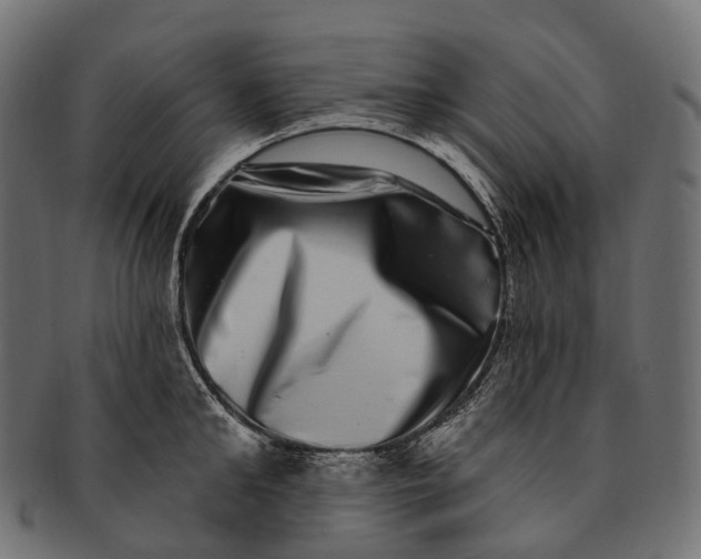 X0000091560902200709071124