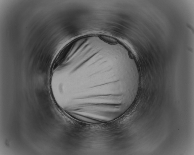 X0000091560903200709071124