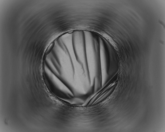 X0000091560904200709071124