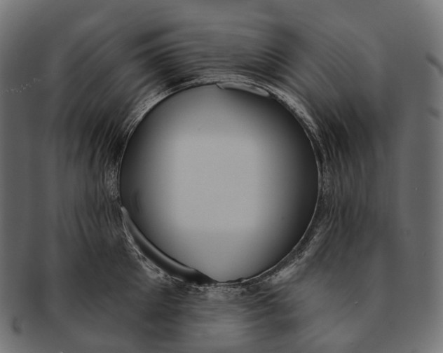 X0000091560905200709071124