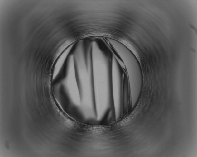 X0000091560906200709071124