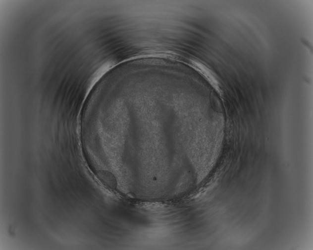 X0000091560907200709071124