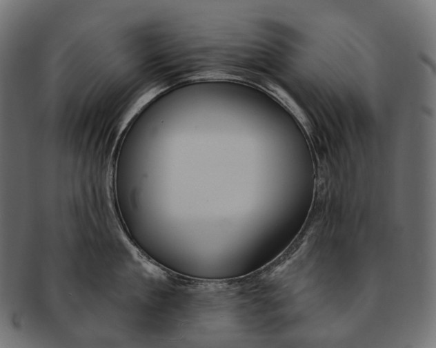 X0000091560909200709071124