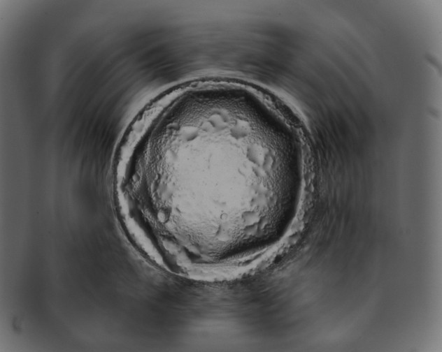 X0000091560911200709071124