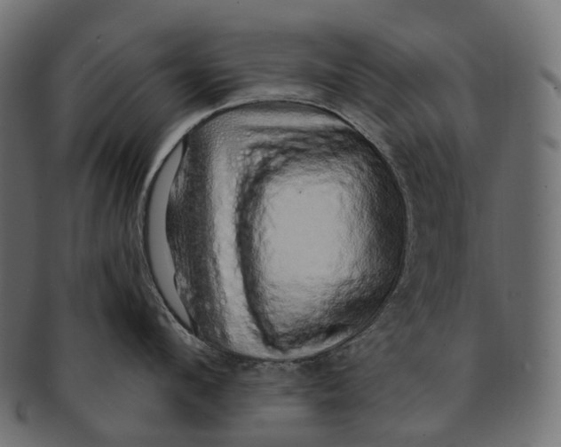 X0000091560912200709071124