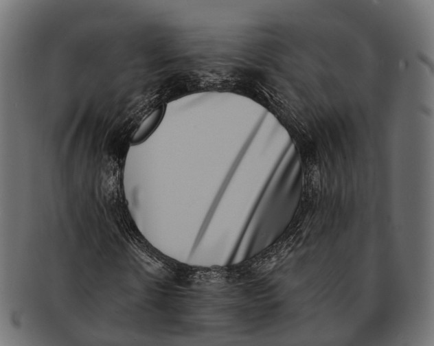 X0000091560914200709071123