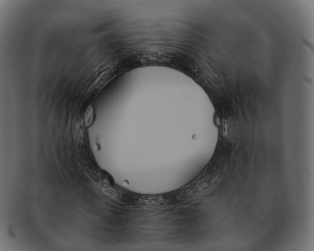 X0000091560915200709071123