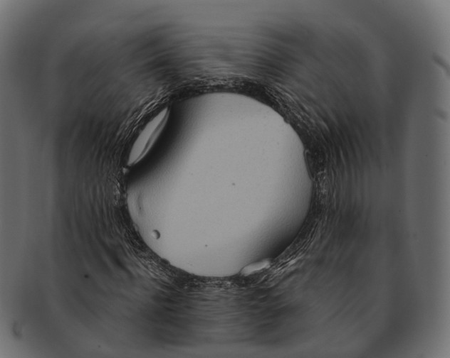 X0000091560916200709071123