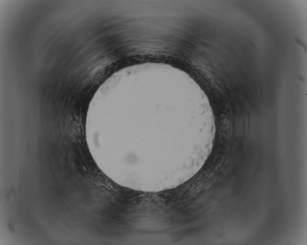 X0000091560918200709071123