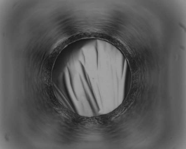 X0000091560919200709071123