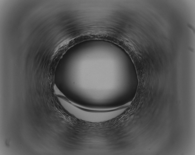 X0000091560920200709071123