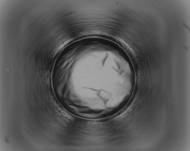 X0000091560921200709071123